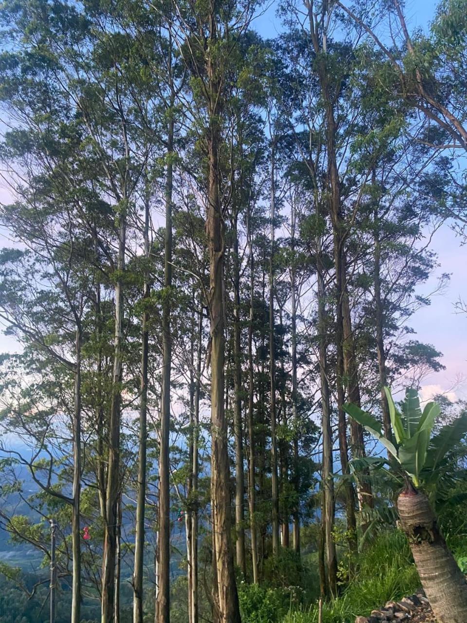 Bel View Guest House Haputale Exteriér fotografie